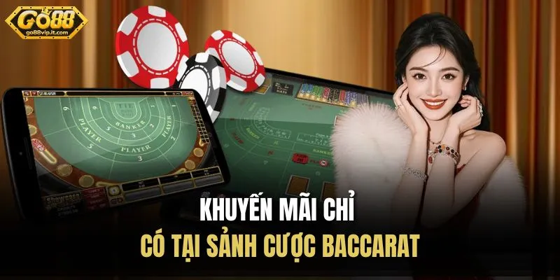 Khuyến mãi chỉ có tại sảnh cược baccarat